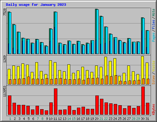 Daily usage for January 2023