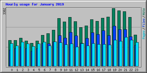 Hourly usage for January 2019
