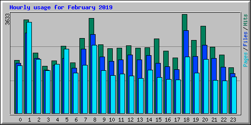 Hourly usage for February 2019