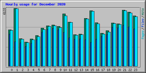 Hourly usage for December 2020