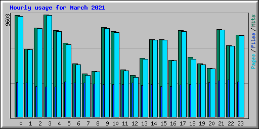 Hourly usage for March 2021