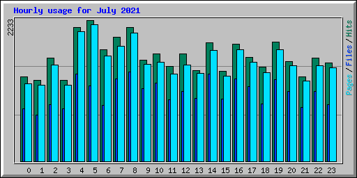 Hourly usage for July 2021