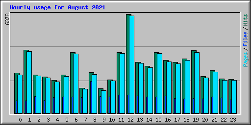 Hourly usage for August 2021