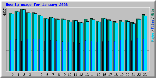 Hourly usage for January 2023