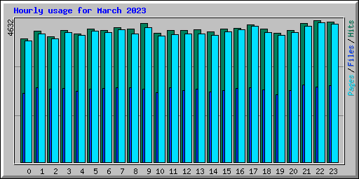 Hourly usage for March 2023