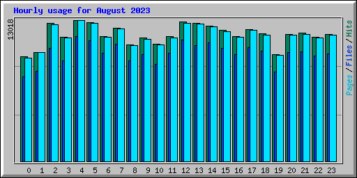 Hourly usage for August 2023