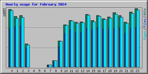 Hourly usage for February 2024