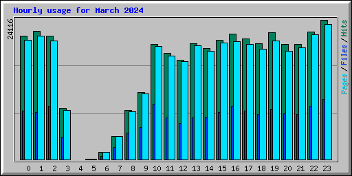 Hourly usage for March 2024
