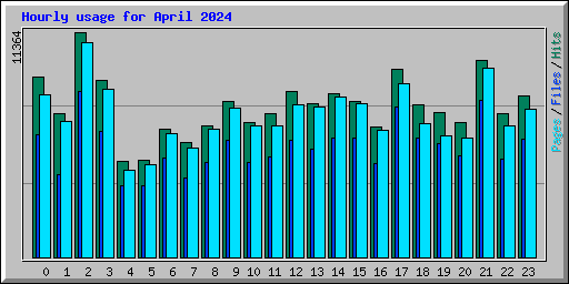 Hourly usage for April 2024