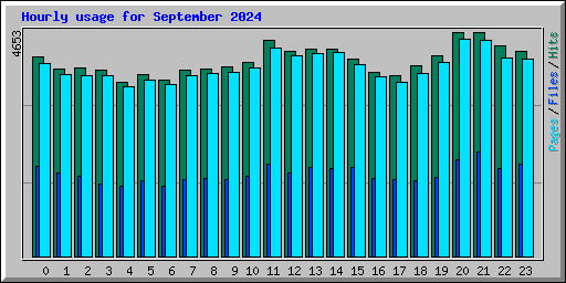 Hourly usage for September 2024