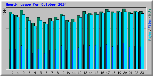 Hourly usage for October 2024