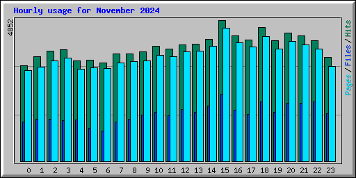 Hourly usage for November 2024