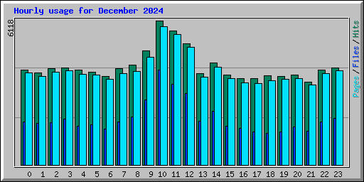 Hourly usage for December 2024