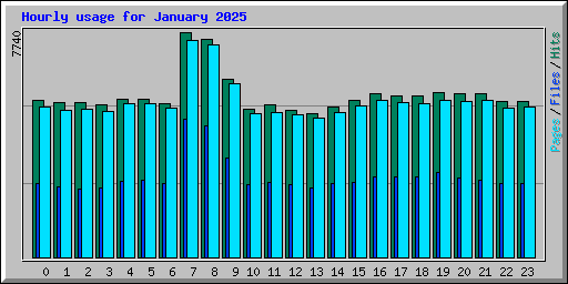 Hourly usage for January 2025