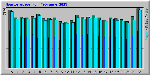 Hourly usage for February 2025