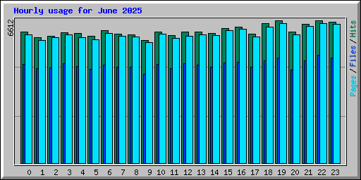 Hourly usage for June 2025
