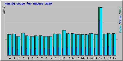 Hourly usage for August 2025