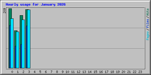 Hourly usage for January 2026