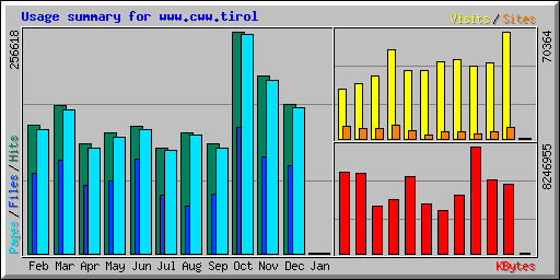 Usage summary for www.cww.tirol